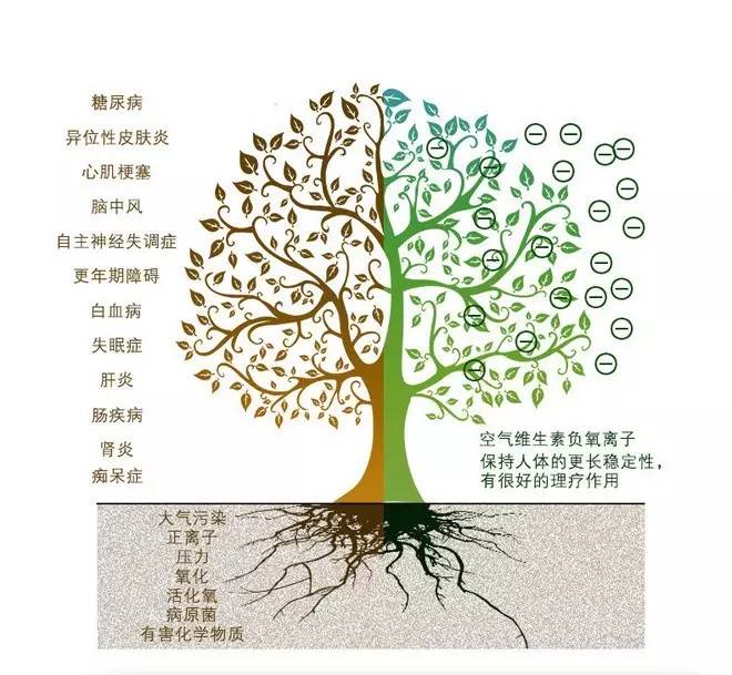 看了这个，你还会一直呆在空调房么？