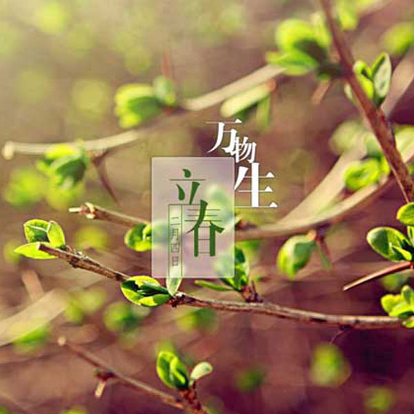 立春?一年之计始于春！